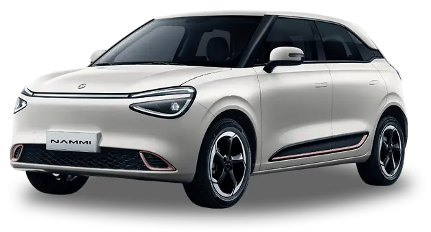 NAMMI Car