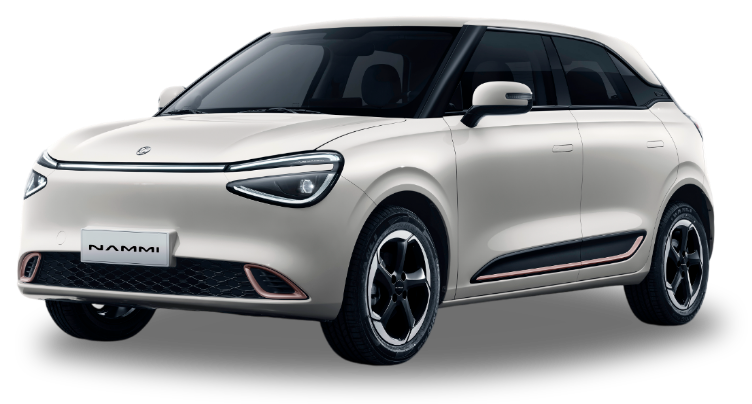 Nammi Car